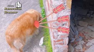 renovated the old house with her own hands made it clean and beautiful @WU Vlog @Quantum Technology