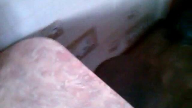 Кот воришка! смотреть онлайн