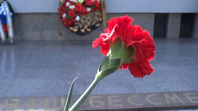Цветы на могилы павших героев штурма Кёнигсберга смотреть онлайн