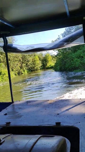 медведь на речке 2 смотреть онлайн