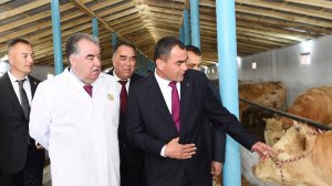 Эмомали Рахмон открыл новые предприятия в Согдийской области