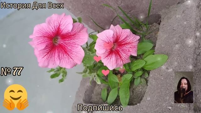 Услышала разговор свекрови и мужа. От услышанного у нее волосы встали дыбом. смотреть онлайн