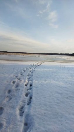 Рыбалка в Карелии в Питкяранта