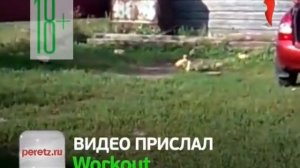 фрагмент эфира перец 2013