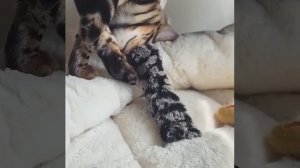 Утро понедельника😜