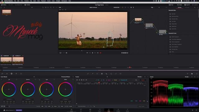 Object Removal In Davinci Resolve 16 In Tamil
