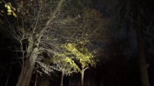 Освещение комплекса «Байя Клаб»  в г.Нальчик.