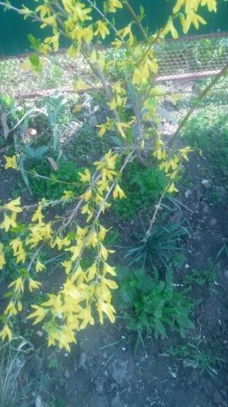 VID_20250330_093146