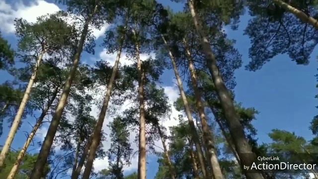 Супер веселый отдых!!! Пикник по многодетному. Веселье, счастье, природа и немного треша😁 смотреть онлайн