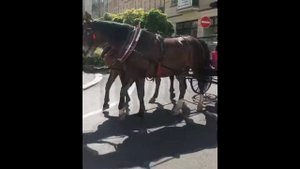 Дарья Клюкина Эксклюзив