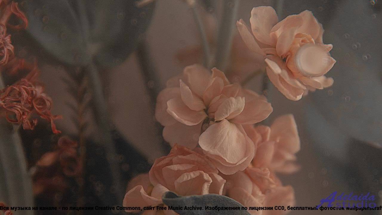☞ ❤ ♫ Лучшая композиция для богатства  Inspiring Acoustic Guitar -- Greg Kirkelie -- Unnamed album.m