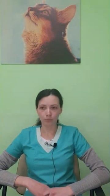 Пироплазмоз у собак смотреть онлайн