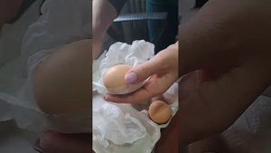 Упаковка инкубационного яйца, и отправка почтой России.