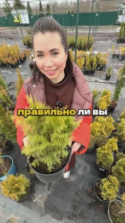 90% Садоводов Произносят Эти Растения Неправильно
