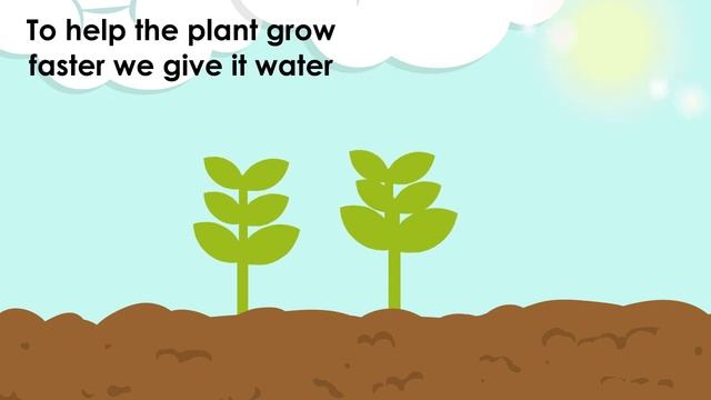How do plants grow?_for kids смотреть онлайн
