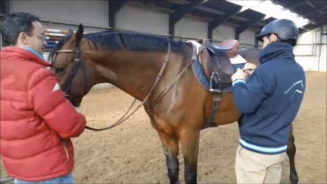 Cerebrus/Chaplin смотреть онлайн