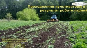 Работа культиватором по целине TelLus-4 с МТЗ-80