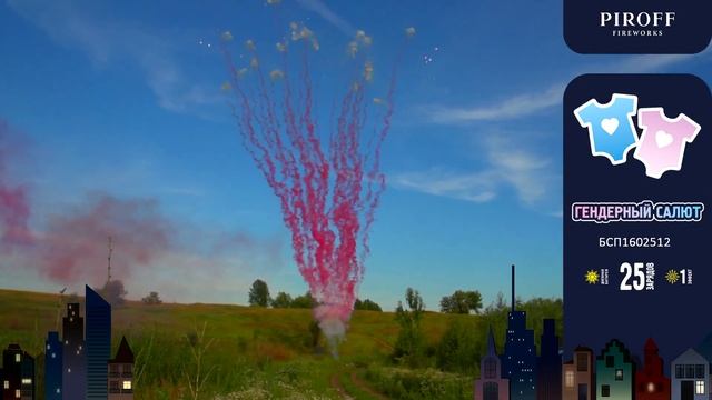Дневной гендерный веерный салют розовый