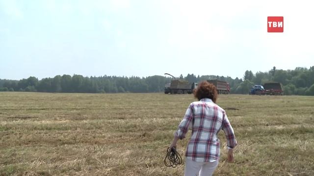 Заготовка кормов в Кострово