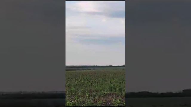 СВО 29 декабря 2023 г