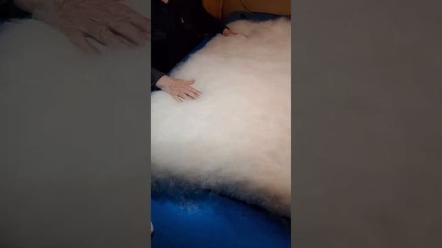 Здоровые ноги- здоровье всего организма! ЧАСТЬ 1