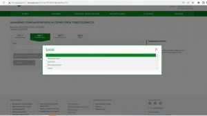 Назначение социальной выплаты на случай утраты трудоспособности