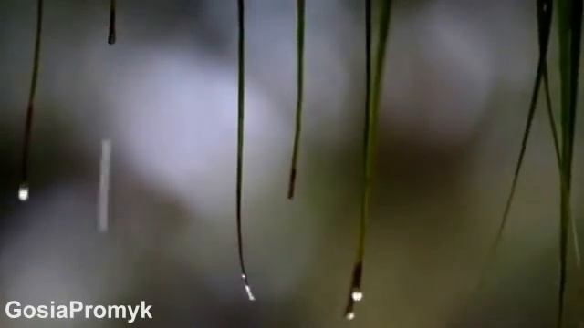 Romantic Music by Omar Akram   Passage into Midnight смотреть онлайн