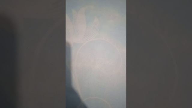 Что купила на деньги с компенсации. Ура, курицам. смотреть онлайн