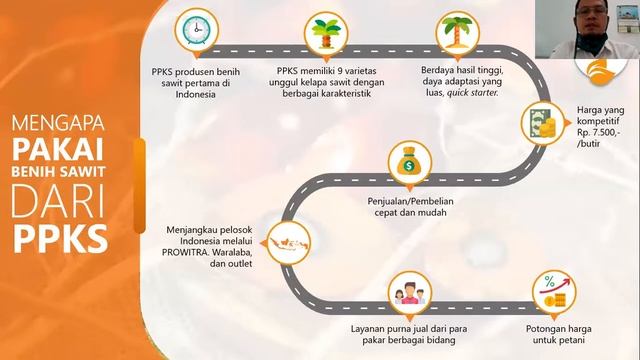 Ini Dia Cara Menghasilkan Bibit Sawit Bermutu