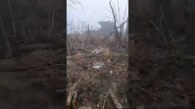 Царь пушка с противоминными катками !!!