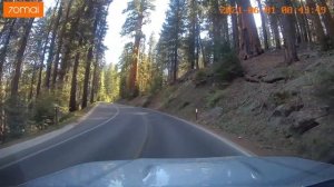 Парк секвойя    01 июня 2021