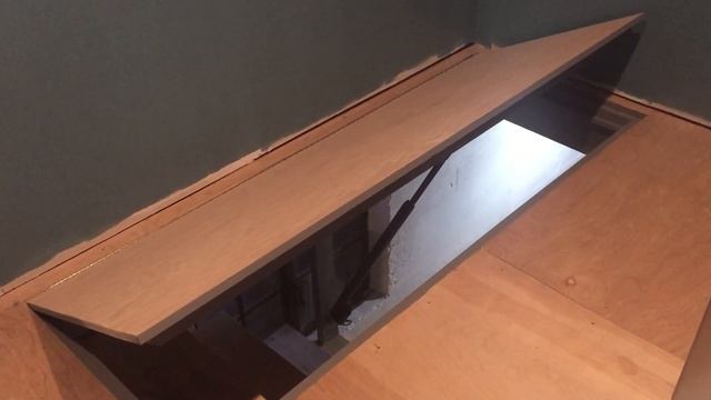 Trap Door with Remote Linear Actuator смотреть онлайн