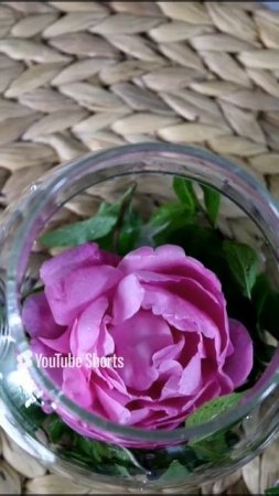 ЧАЙ ИЗ ЧАЙНОЙ РОЗЫ🌹 И МЕНТОЛОВОЙ МЯТЫ🌿