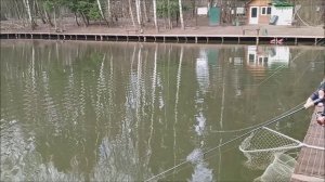 Форель клюёт на различные приманки в толще воды. Клёвое место, Лосиный остров, спорт-зона.