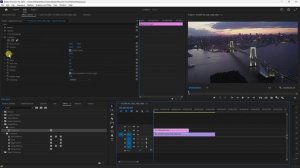 How To Add Motion Blur in Adobe Premiere Pro (2024)