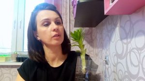 Как растет лилия, посаженная дома луковицей