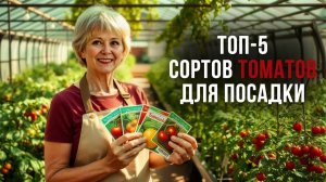Топ-5 Сортов томатов для посадки