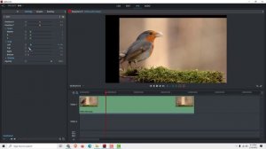 Lightworks Tutorial: How to Crop Video in Lightworks