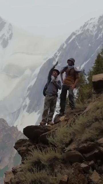 Леопард каждую ночь посещает корову 😱 #shorts смотреть онлайн