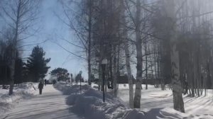 Пгт Зеленогорский парк планета 🪐железяка