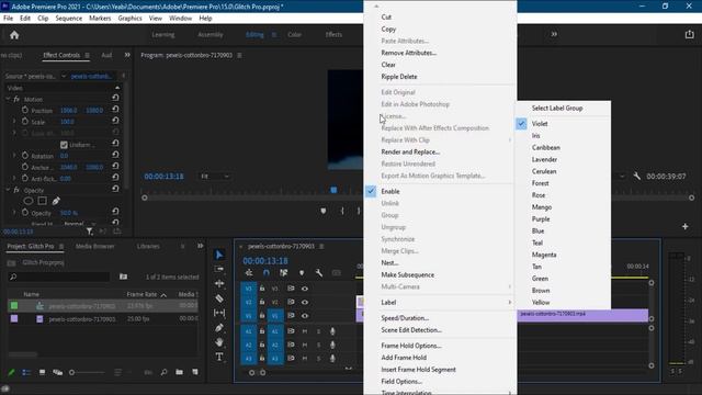 Glitch Effect in Premiere Pro 2022| Easy way| Music video effect смотреть онлайн