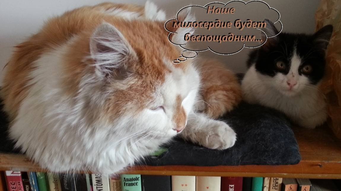 Инопланетяне