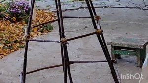 Осень. Вместе будем до зимы.