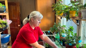 Занимаюсь Рассадой 🌱ПОДАРОК СЫНУ🎁 Спросили про РЕЦЕПТ МАРИНОВАННЫХ ГРИБОВ.