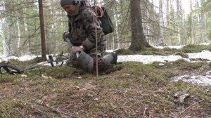 Карельский перешеек. Поиск монет конец марта 2025г. Перекрёсток Титова, часть 2.