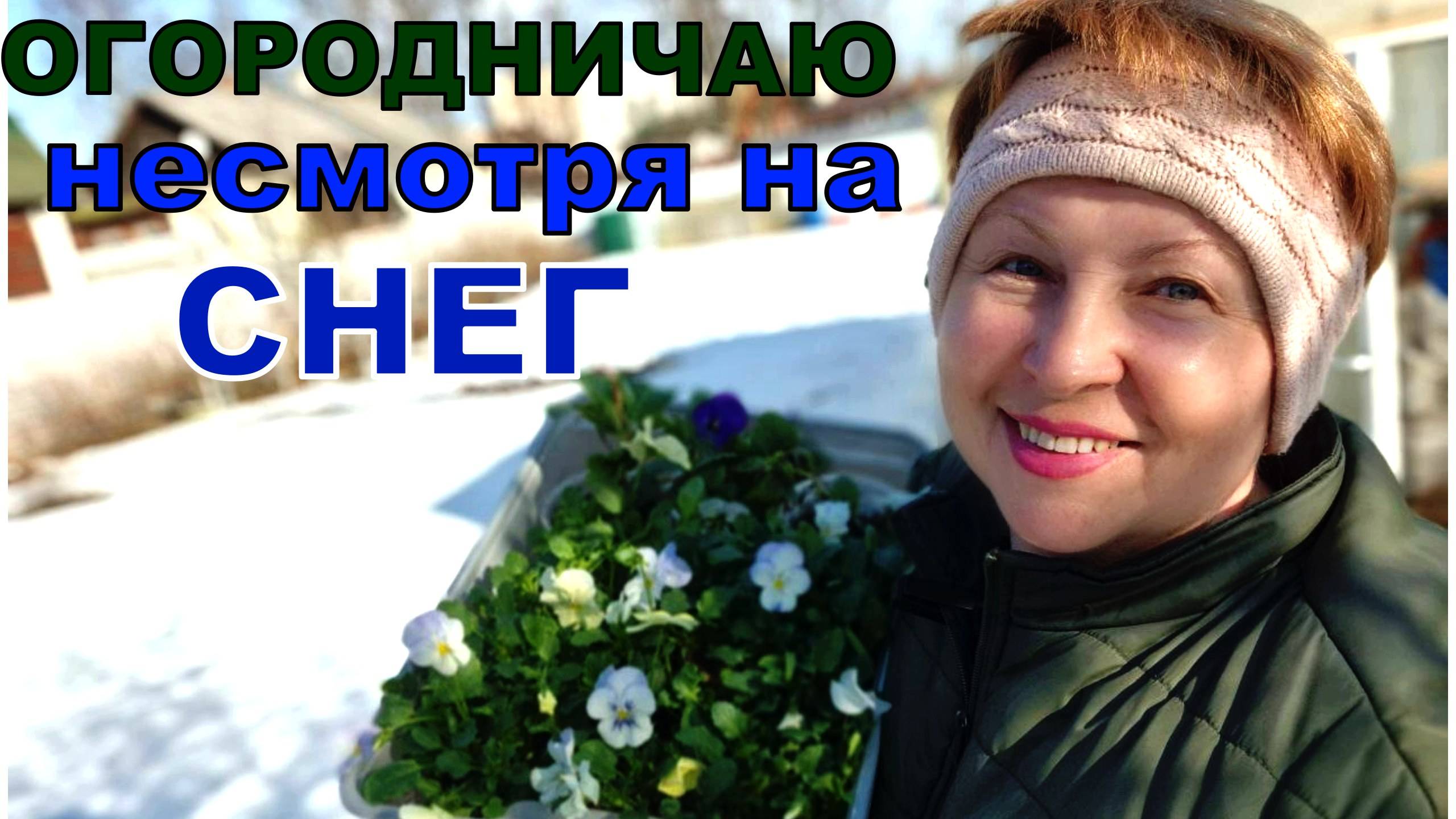 Мобильные грядки- легко и бысто.  Огородничаю, когда еще лежит снег. Как зимовка в прикопе_ (1)