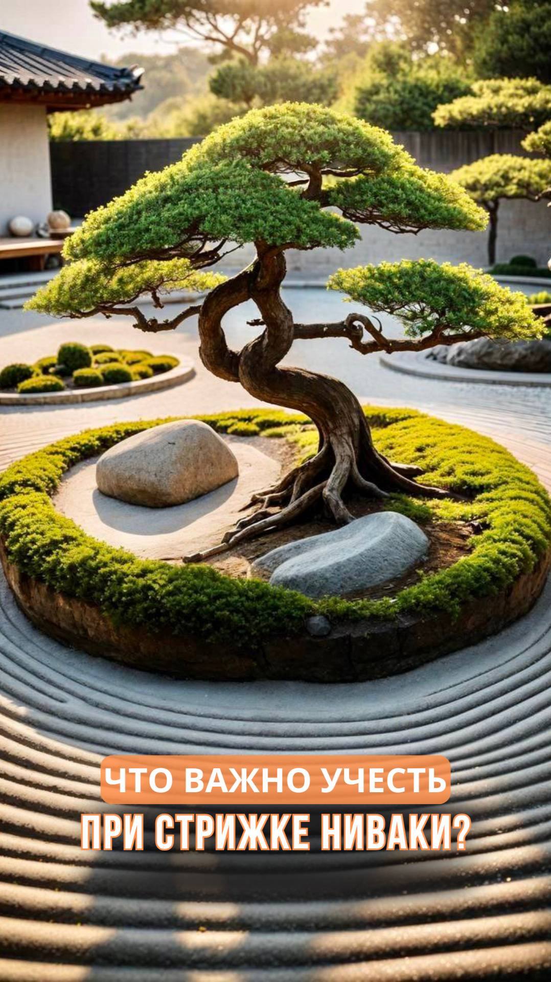 Что важно учесть при стрижке ниваки? смотреть онлайн