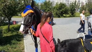 Девушка катает детей на лошади Радуга