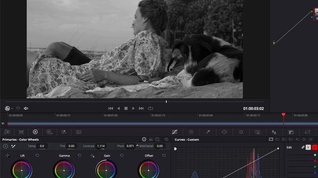 How to make your Video Black & White in DaVinci Resolve смотреть онлайн