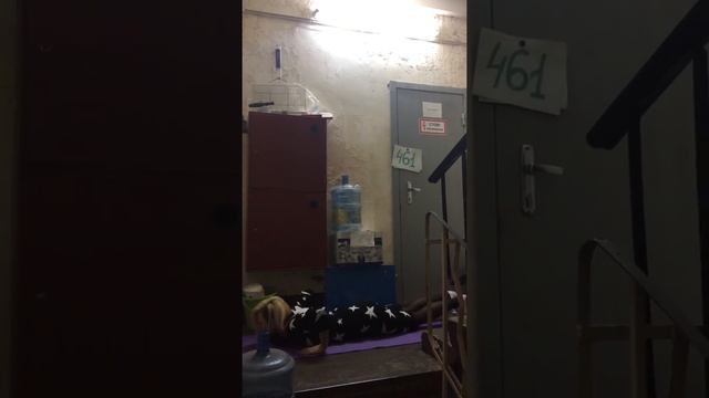 Бешеная сушка 15 смотреть онлайн